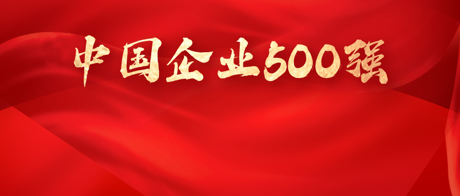 喜報丨海南控股入選2025中國企業500強 位列456名